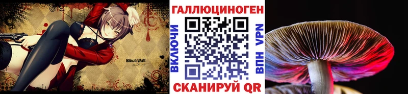 Псилоцибиновые грибы Cubensis  Челябинск 